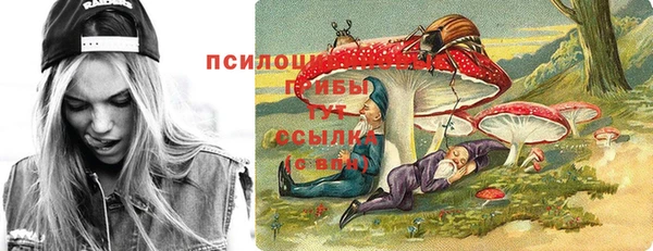 метадон Арсеньев