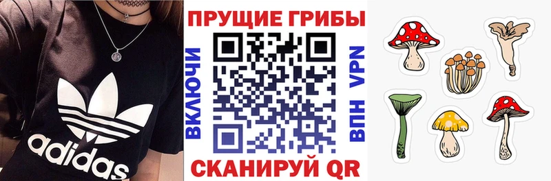 Псилоцибиновые грибы Psilocybine cubensis  мега зеркало  Суджа 